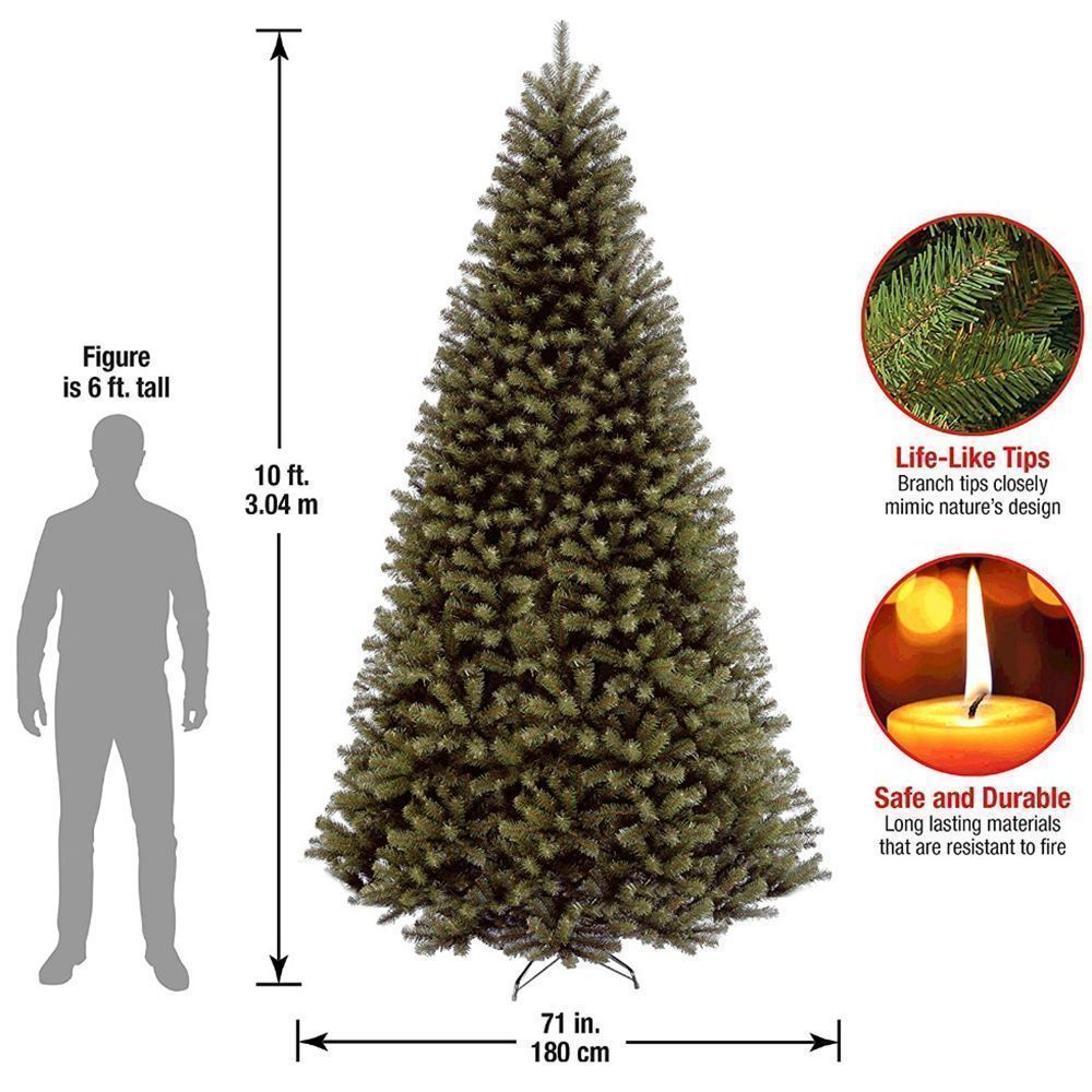 National Tree North Valley Spruce 3m (10ft)